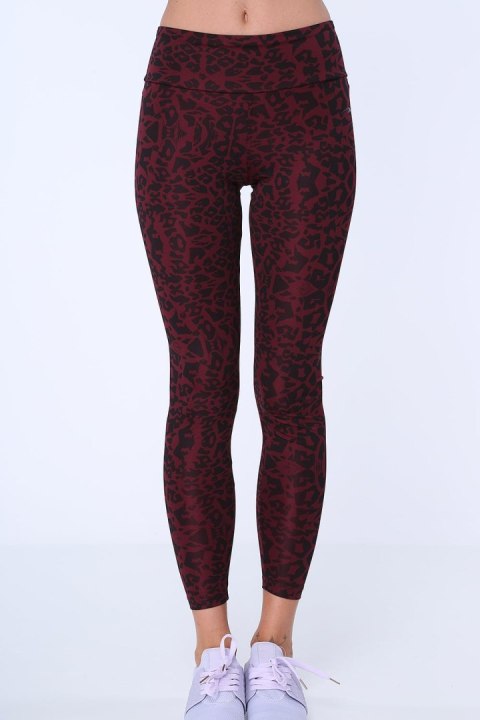 Legginsy w cętki bordowe MR155030