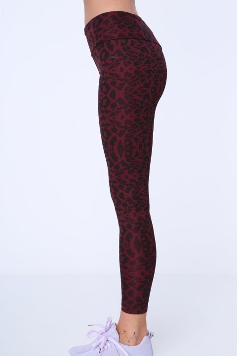 Legginsy w cętki bordowe MR155030